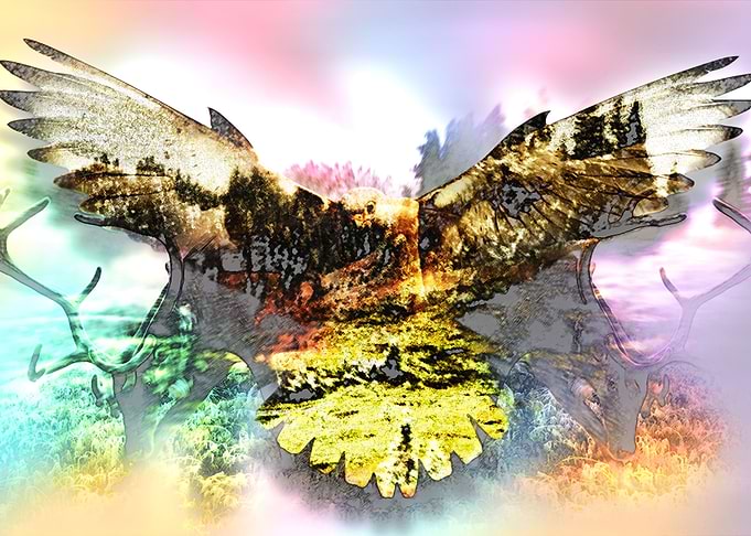 Tundra
