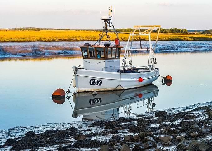 Low tide on the creek