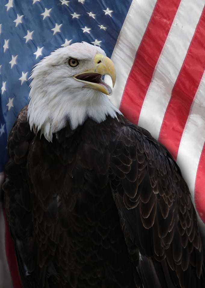 American Pride