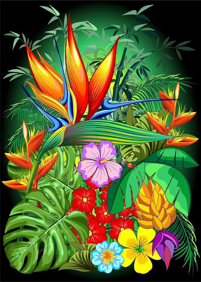 Nature Tropical Garden
