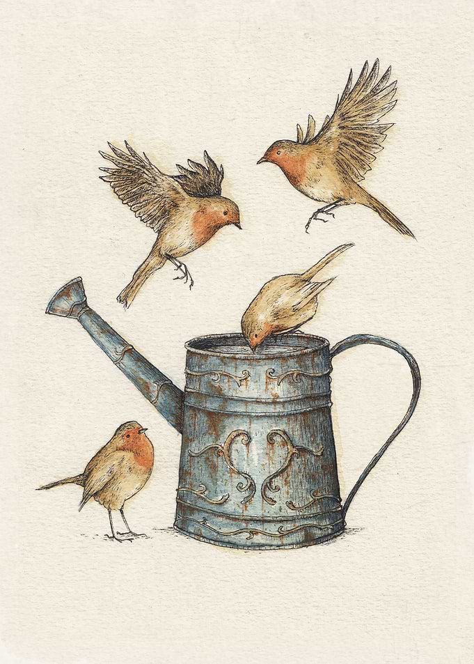 Birds