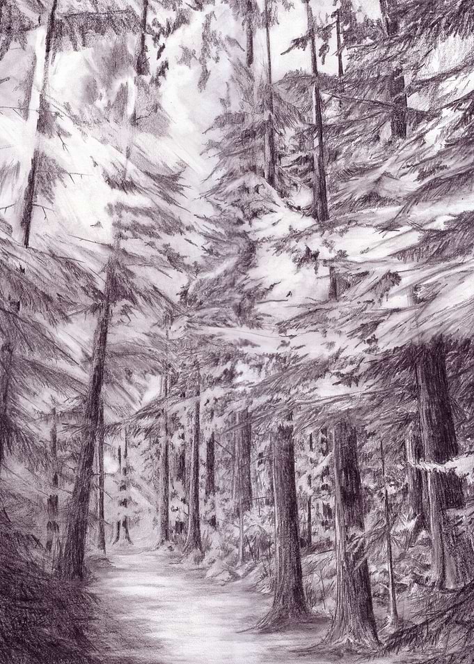 Inverfarigaig Forest