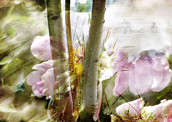 Passing by