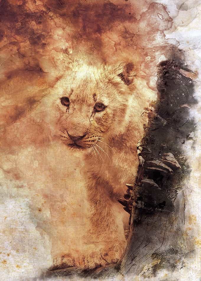 Lion Cub Ink
