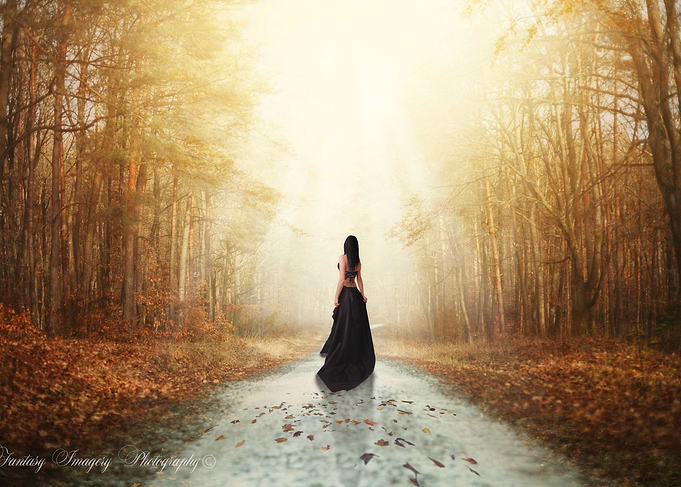 Autumn Path