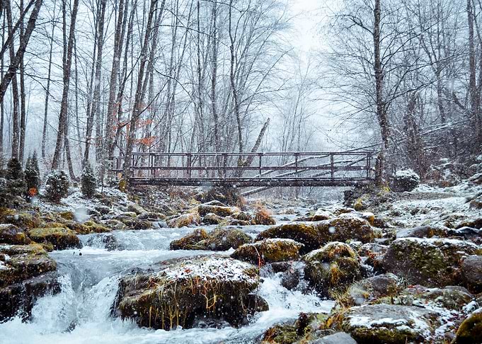 Frozen creek
