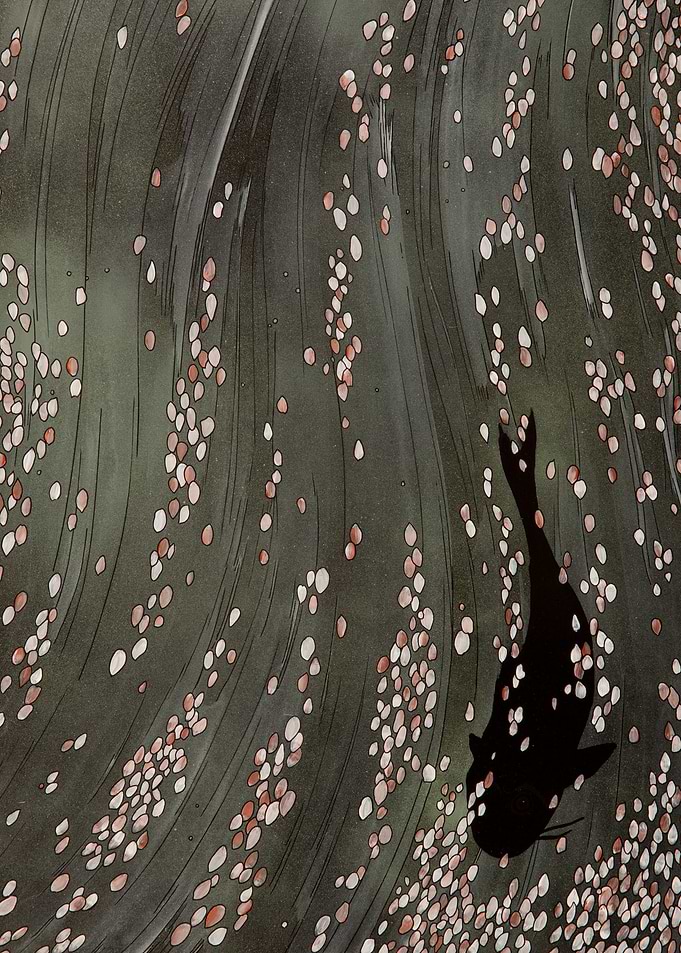 Drift Coy Carp Blossom