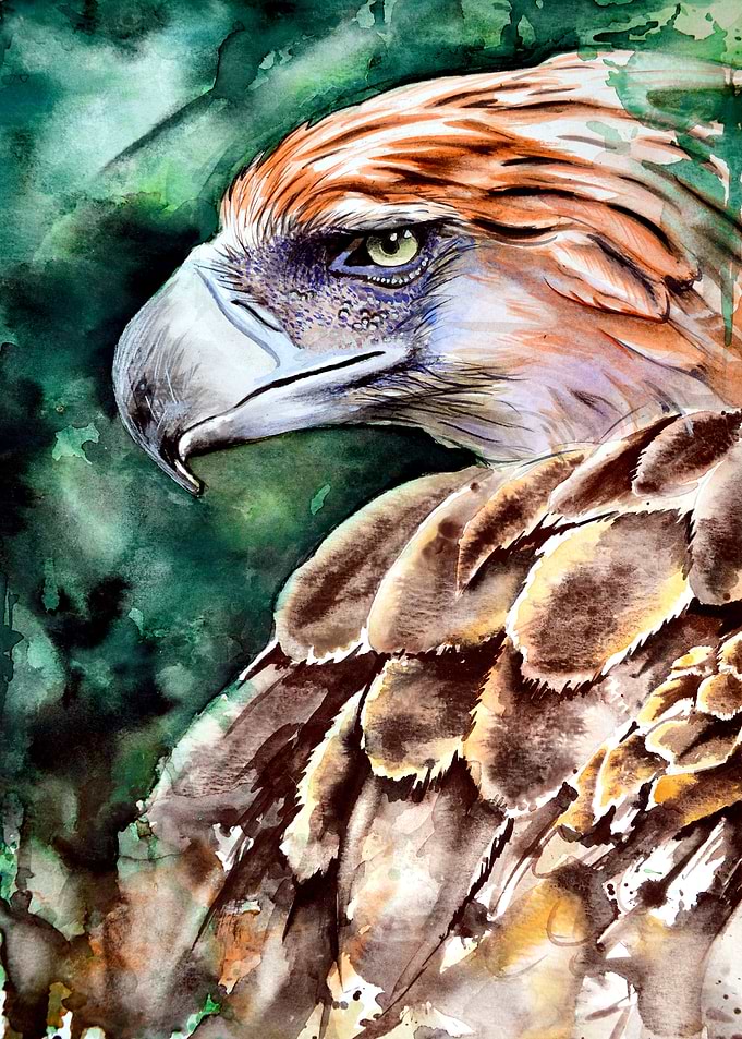 Eagle