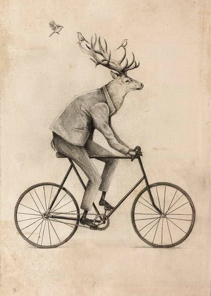 Even a Gentleman rides