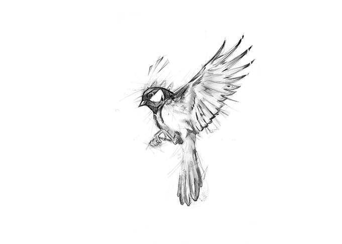 freedom
