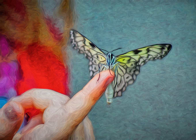 Finger Perch