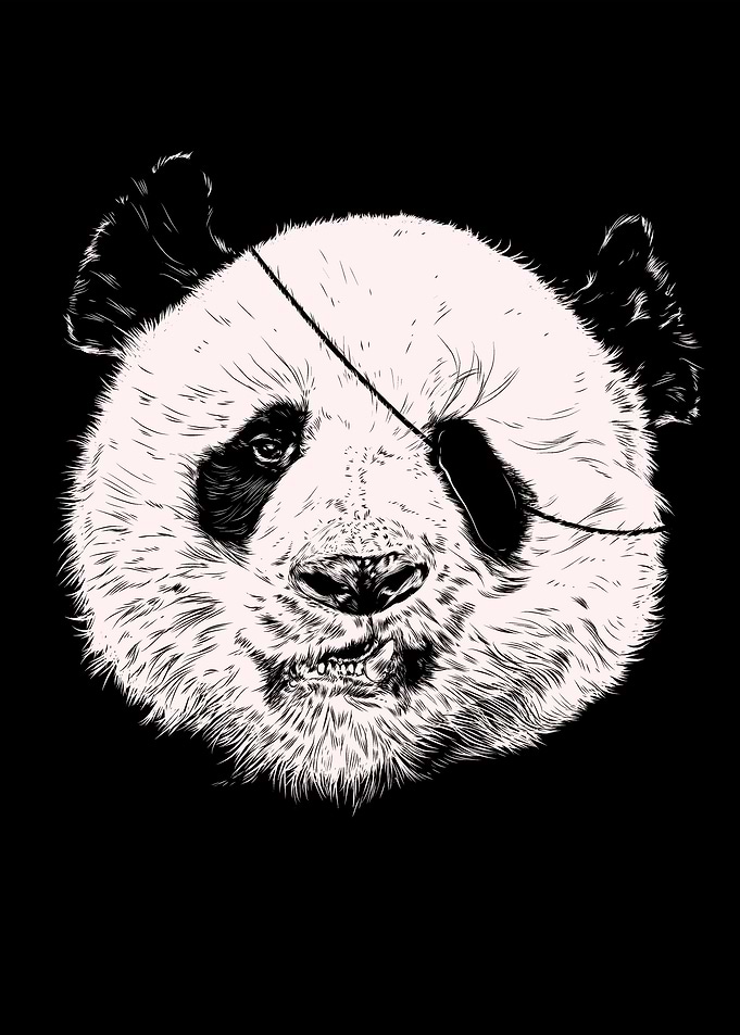 Endangered Pirate