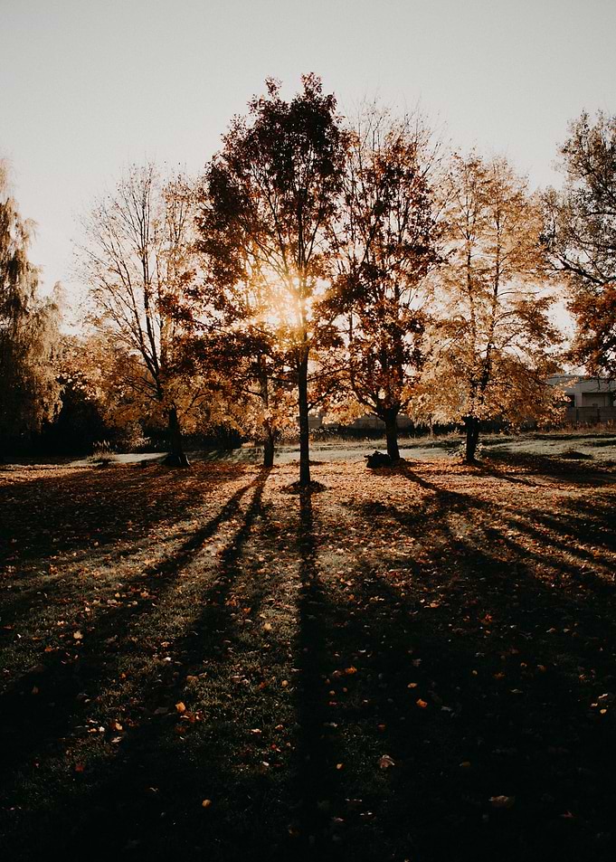 Autumn shot 9