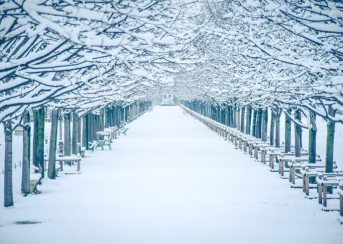 Empty snowy lane