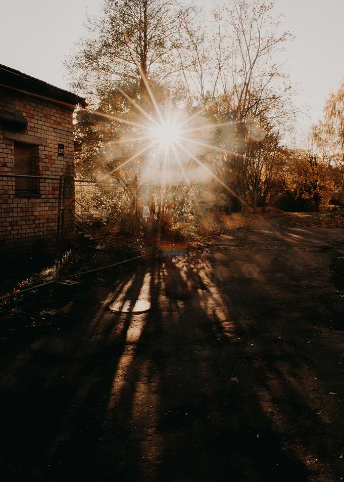 SUNBEAMS