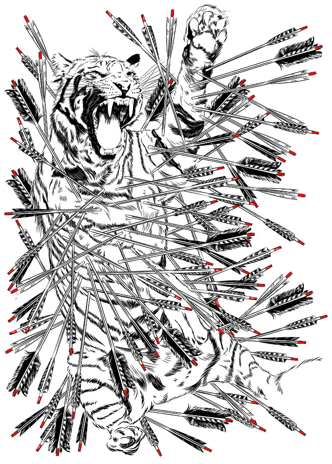 A tiger for 100 arrows
