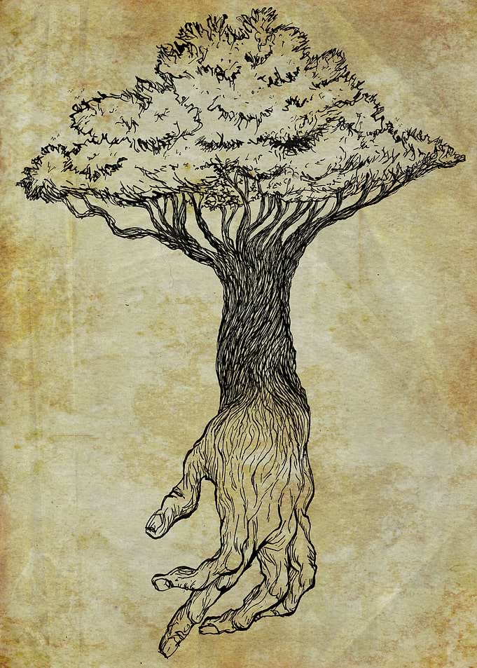 rhizome