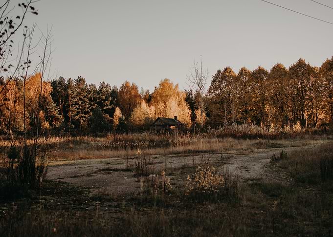Little cabin