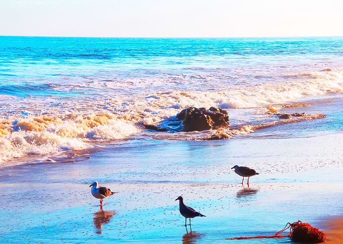 summer beach in California
