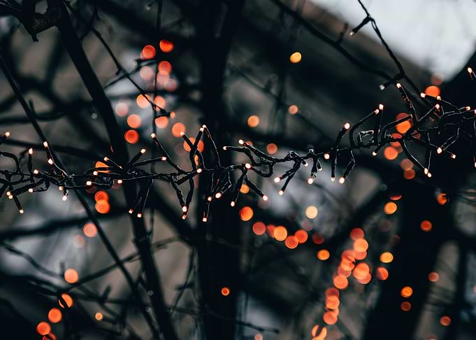 Tree og BOKEH