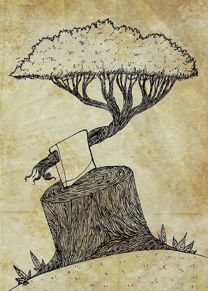 Embodied Wisdom