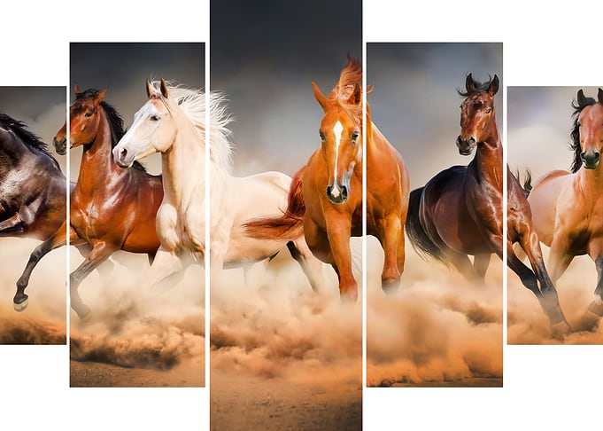 Horses run in the wild