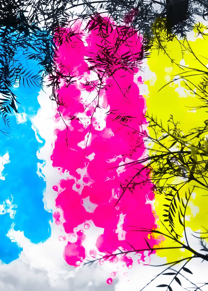 tree leaves