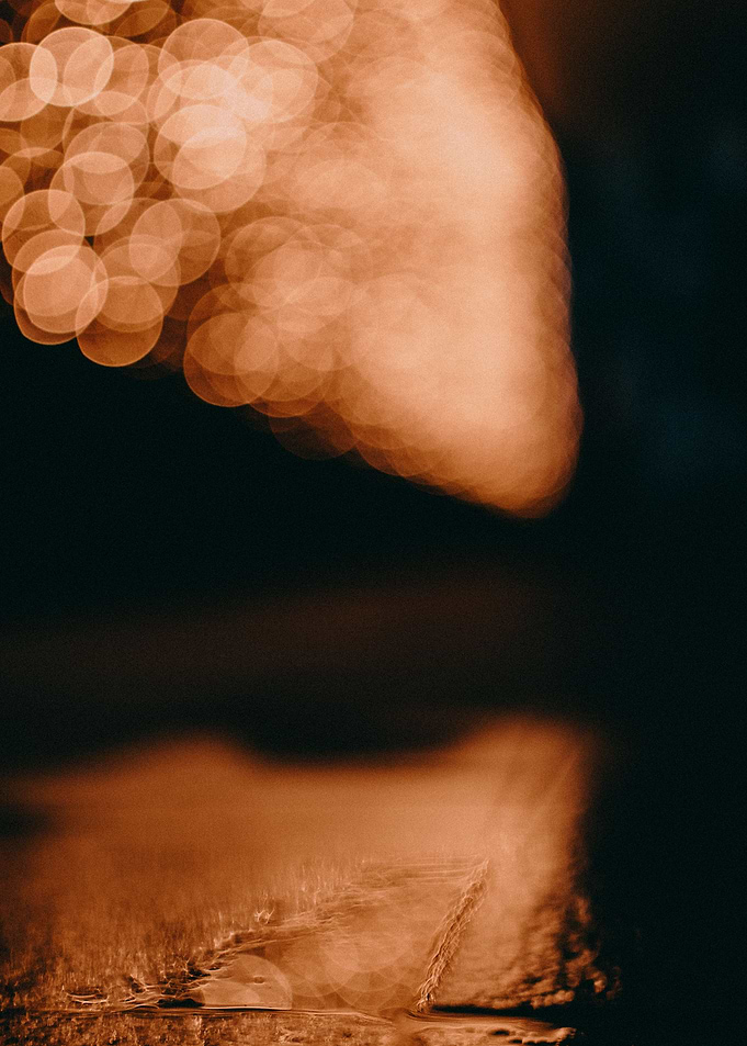 small pond reflecting