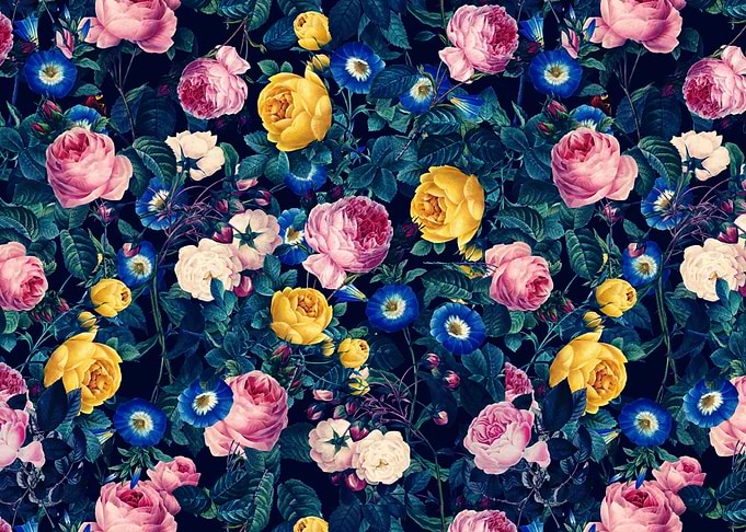 Rose Garden