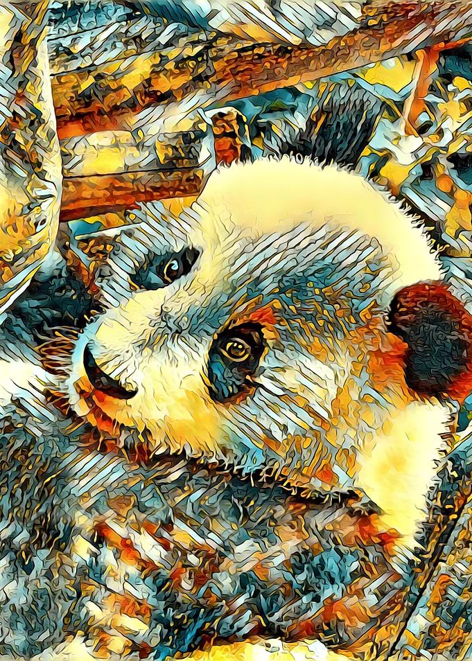 AnimalArt Panda 001