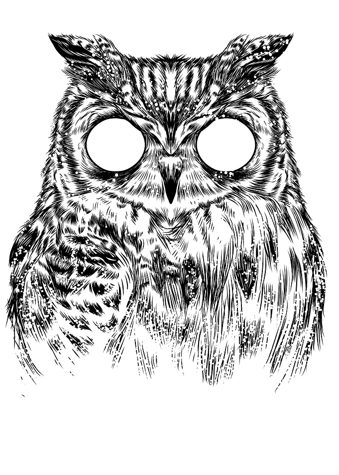 Owltical Illusion