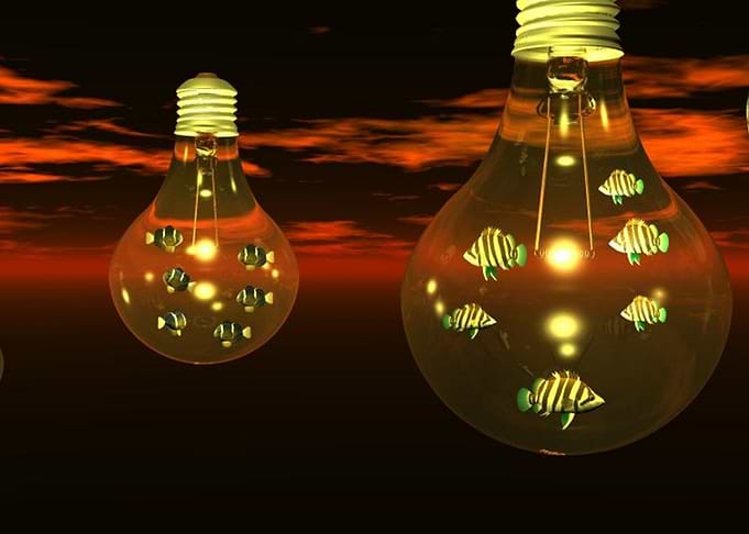 Fish in Light bulb