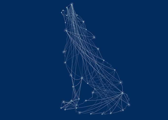 Constellation wolf