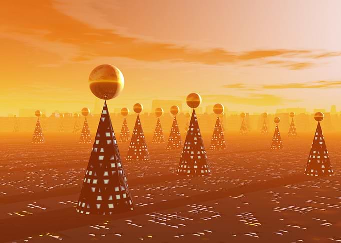 Future Forest