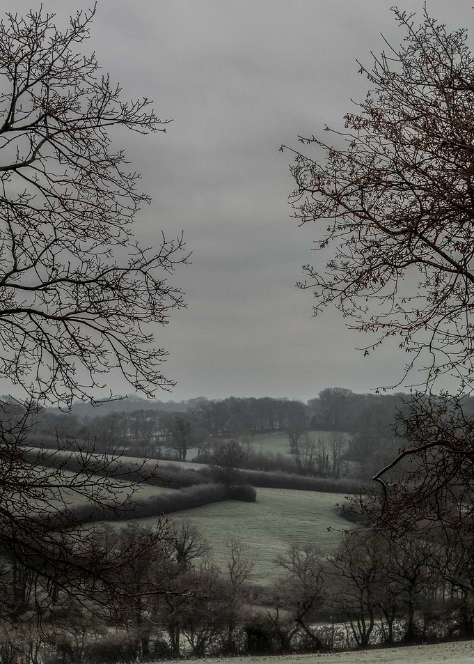 Frosty Morning