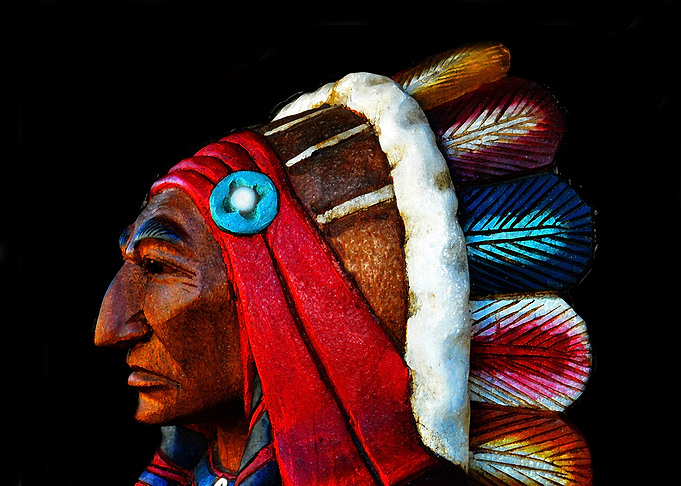The noble American Indian