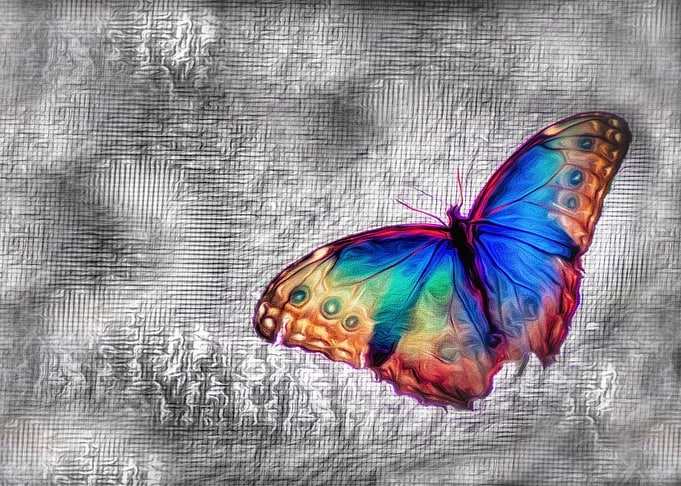 Rainbow Butterfly