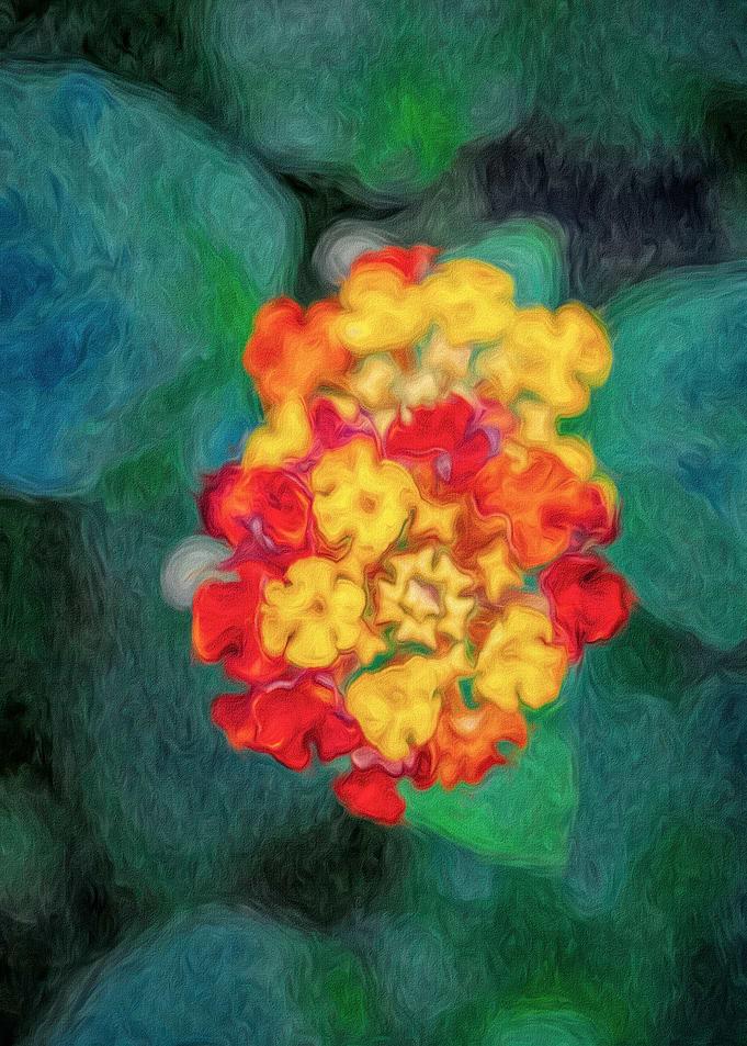 Exotic Flower