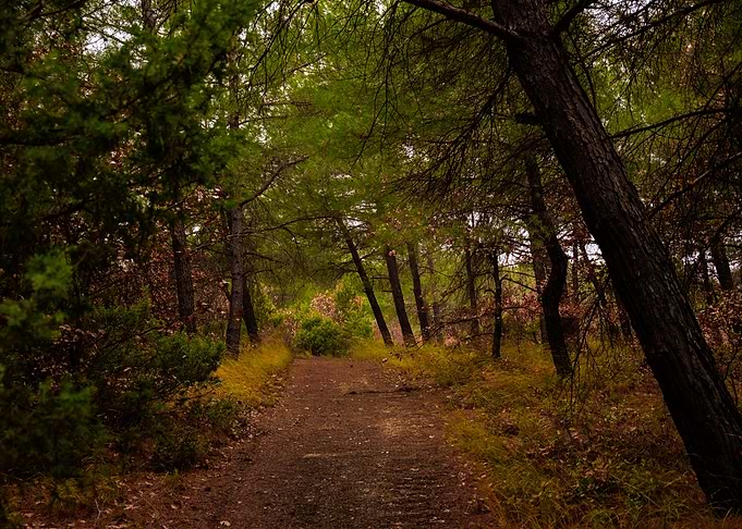 The way