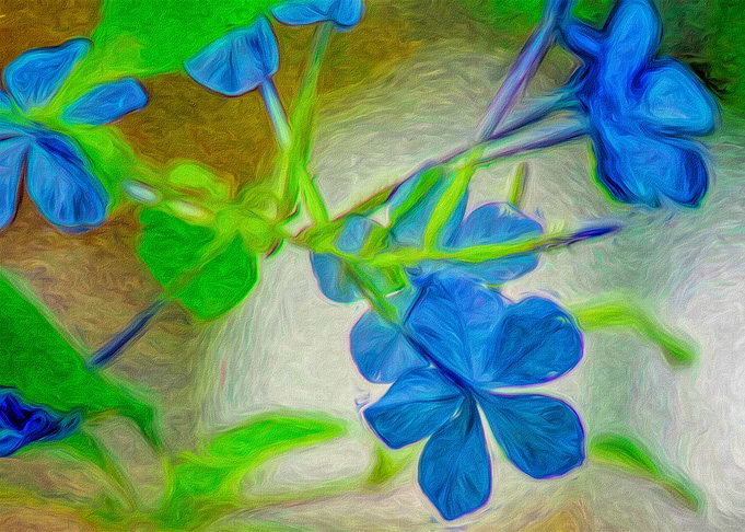 Oh So Blue Flowers