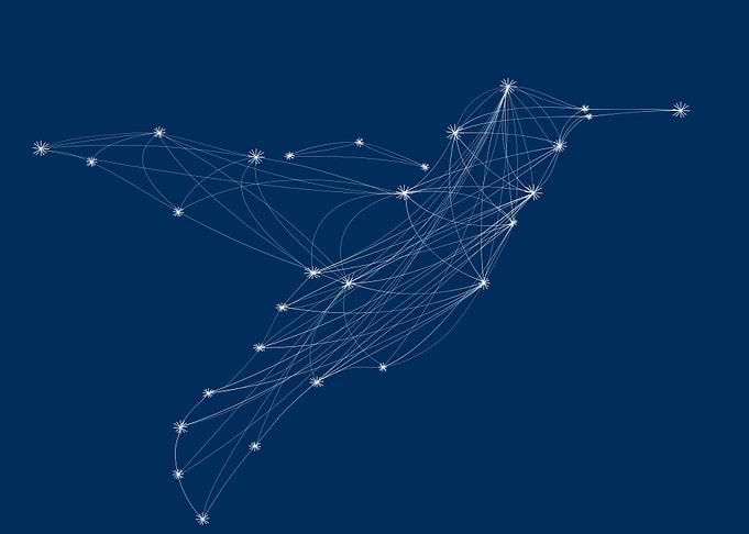 Constellation hummingbird