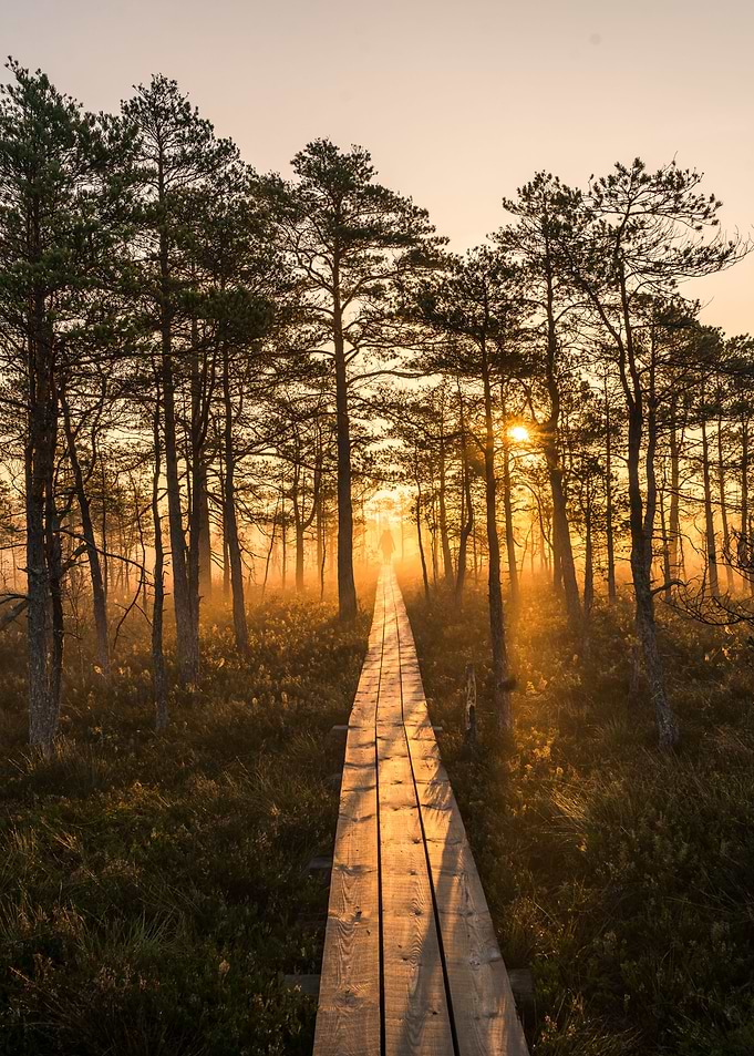 Path to sun
