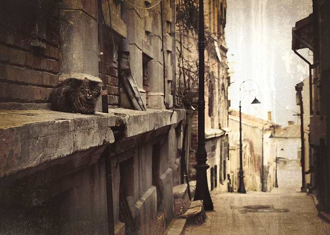 Street guardian