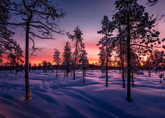 Winter Laponie