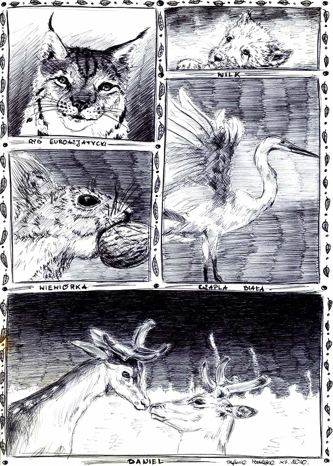 Wild Animals of Poland