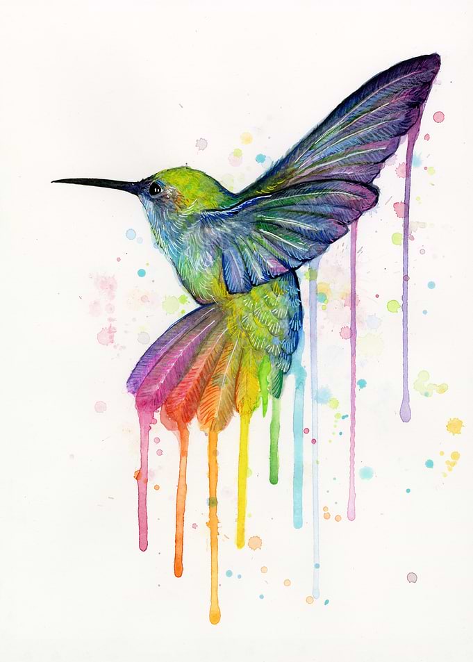 Rainbow Hummingbird