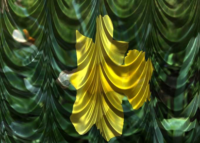 The green drapery