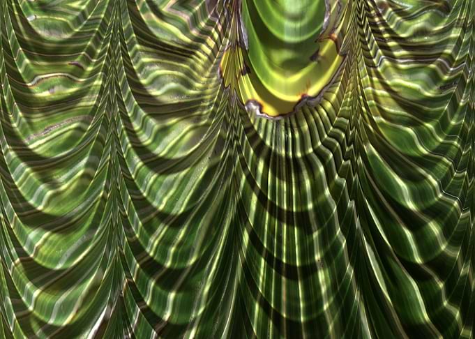 Green drapery 2