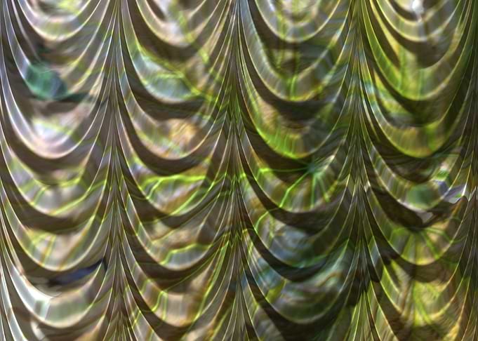 Green drapery 1
