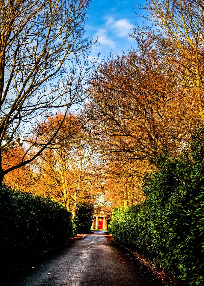 Path